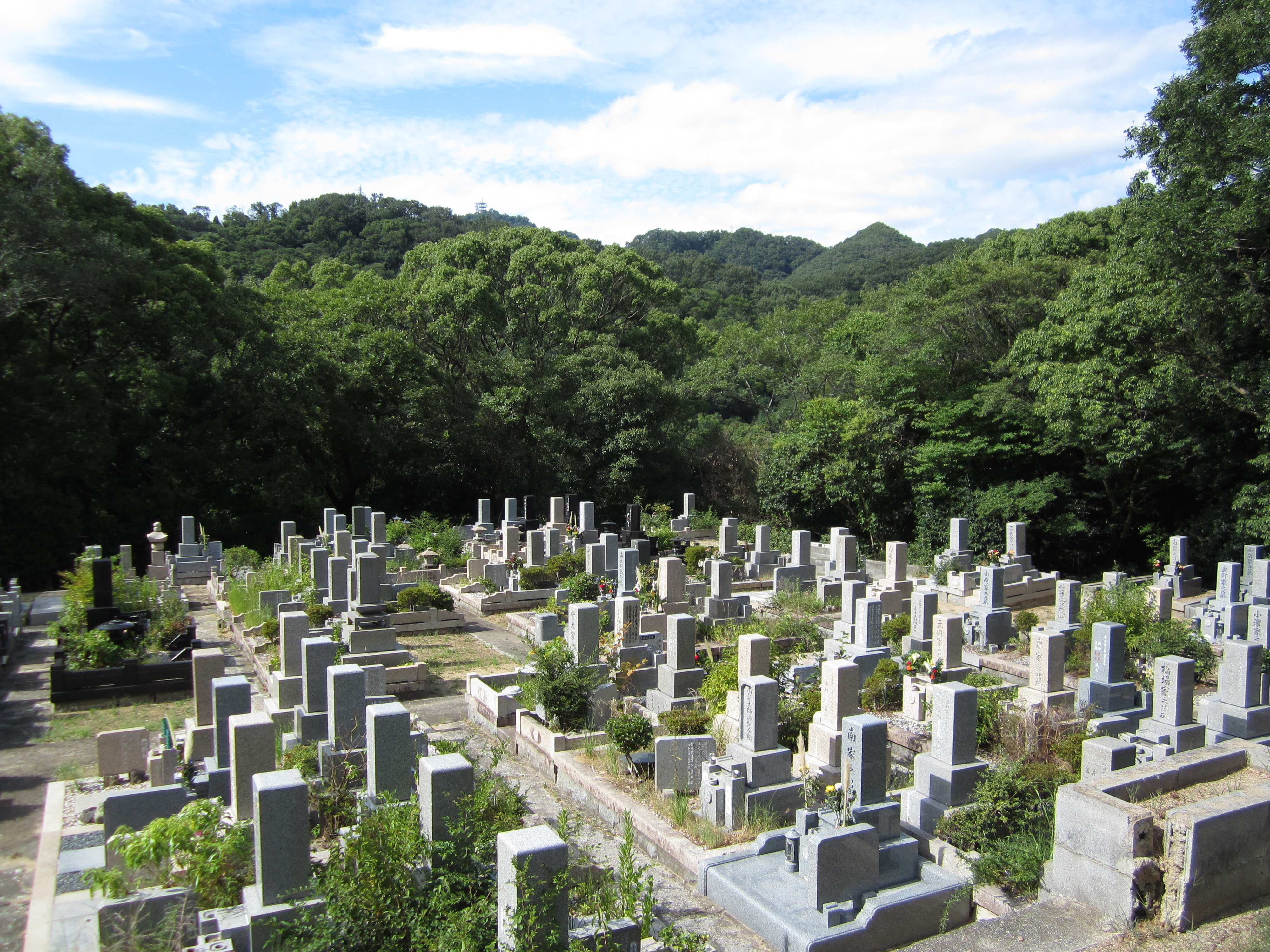 烏原霊園 全景写真