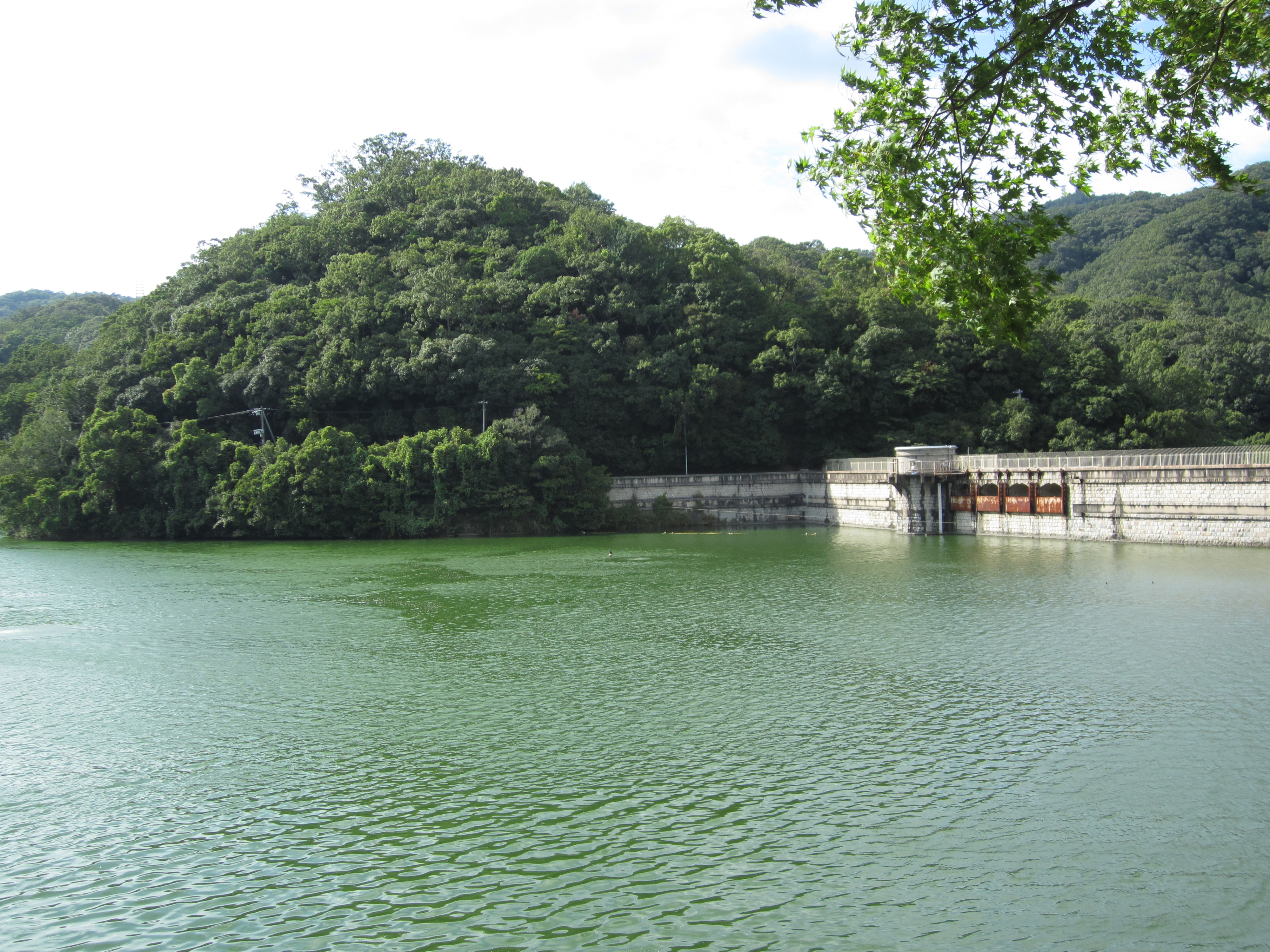 烏原ダムの景色
